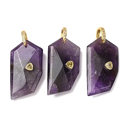 Amethyst Natural Amethyst Pendants, Others, Golden, 40~40.5x20.5~21x9.5~10mm, Hole: 6x6.5mm