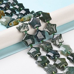 (RRHB277) Кристалл на подкладке из медово-бежевого цвета Природного индийского агата бисер нитей, с бисером, дутая звезда, 14~15.5x15~16x6.5~7 мм, отверстие : 1 мм, около 24~25 шт / нитка, 15.55''~15.95'' (39.5~40.5 см)