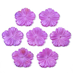 Orchidée Perles de coquillages naturels d'eau douce, sculpté, teint, fleur, orchidée, 28x28x3mm, Trou: 1.6mm