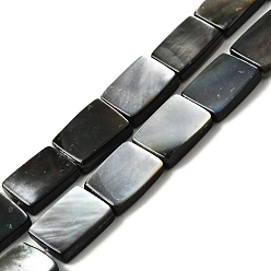черная губная раковина Натуральный черный оболочки губ бисер нитей, прямоугольные, 14x10~10.5x3.5~4 мм, отверстие : 1 мм, около 28 шт / нитка, 15.51'' (39.4 см) ~ 15.59'' (39.6 см)