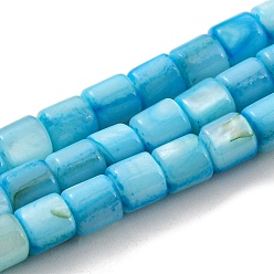 Cielo Azul Oscuro Cuentas de concha de perla natural hebras, teñido, columna, cielo azul profundo, 4~5.5x5 mm, agujero: 0.6 mm, sobre 74~75 unidades / cadena, 14.76~14.96 pulgada (37.5~38 cm)
