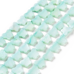 Бирюза Естественных пресноводных оболочки бисер нитей, окрашенные, бабочка, бирюзовые, 8x10x2.5 мм, отверстие : 0.8 мм, около 40 шт / нитка, 15.39'' (39.1 см)