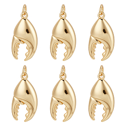 Краб Латунные подвески, с целью перехода в кольце, реальный 18 k позолоченный, краб, 22x11.5x5 мм, отверстие : 3.5 мм