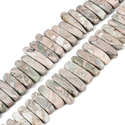 Variscite Natural Variscite Beads Strands, Irregular Stick, Top Drillded, 12~49x3~9x4~9mm, Hole: 0.8~1mm, about 55~68pcs/strand, 14.76~17.13 inch(37.5~43.5cm)