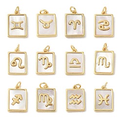 Настоящее золото 18K Подвески из латуни с натуральными белыми ракушками, подвески-созвездия с соединительными кольцами, долговечный, без свинца и без кадмия, стойки покрытие, реальный 18 k позолоченный, 17x12x2 мм, отверстие : 3 мм