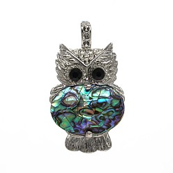 Paua Shell Natural Paua Shell Pendants, Owl, 45x25mm