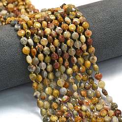 Сумасшедший Агат Природные сумасшедший агат бисер нитей, с бисером, граненый ромб, плоско-круглые, 6~6.5x4 мм, отверстие : 0.6 мм, около 51 шт / нитка, 15.43'' (39.2 см)