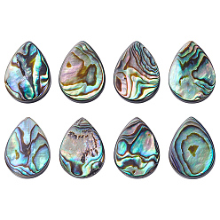 Разноцветный 8шт. натуральные бусины из ракушек абалон/пауа, слеза, красочный, 18x13x3 мм, отверстие : 1 мм