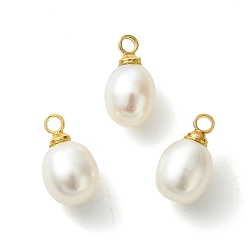 Белый Подвески из натурального пресноводного жемчуга, рисовые прелести, с латунными штифтами без проушин, золотые, белые, 12x7 мм, отверстие : 1.8 мм