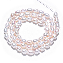 Creamy White Natural Cultured Freshwater Pearl Beads Strands, Rice, Creamy White, 5.5~7x4.5mm, Hole: 0.6mm, about 55 pcs/strand, 13.58 inch (34.5cm)