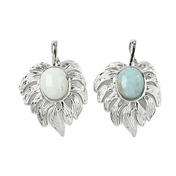 Flower Amazonite Подвески из натуральных цветов амазонита, латунный лист амулеты, платина, стойки покрытие, 31x21x7.5 мм, отверстие : 7.5x3.5 мм