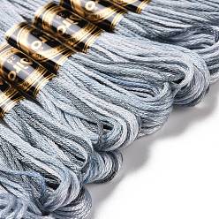 Gray 10 Skeins 6-Ply Polyester Embroidery Floss, Cross Stitch Threads, Segment Dyed, Gray, 0.5mm, about 8.75 Yards(8m)/skein