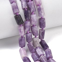 Лепидолит Натуральный лепидолит / пурпурный слюдяный камень бисер пряди, граненые, колонка, 9.5~13x4.5~8x4~7.5 мм, отверстие : 0.8~1 мм, около 28~34 шт / нитка, 15.35~15.94'' (39~40.5 см)