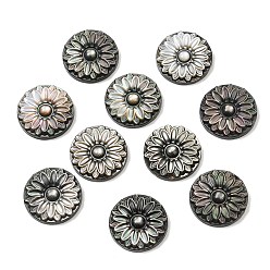 Цветок Натуральная черная ракушка для губ с резными кабошонами, плоско-круглые, цветок, 15x3 мм