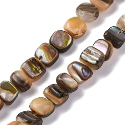 Разноцветный Природные пауа стеклянные бусы нити, самородки, красочный, 4~6x5.5~6x3~3.5 мм, отверстие : 1 мм, около 81 шт / нитка, 15.63'' (39.7 см)