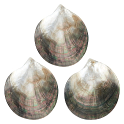 Черный 3 шт. натуральное черное украшение для губ в виде ракушки, домашнего декора, чёрные, 80x71x8 мм