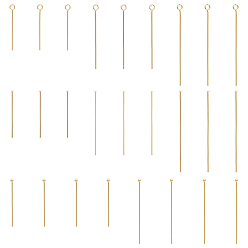 Golden 304 Stainless Steel Flat Head Pins & Ball Head Pins & Eye Pins, Golden, 240pcs/box