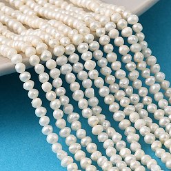 Античный Белый Нити из натурального культивированного пресноводного жемчуга, картофель, класс +, старинный белый, 2~3 мм, отверстие : 0.5 мм, около 132~140 шт / нитка, 13.78~14.09'' (35~35.8 см)