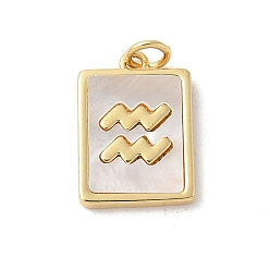 Водолей Подвески из латуни с натуральными белыми ракушками, подвески-созвездия с соединительными кольцами, реальный 18 k позолоченный, долговечный, без свинца и без кадмия, стойки покрытие, Водолей, 17x12x2 мм, отверстие : 3 мм