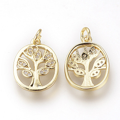 Золотой Diy латунь микро проложить кубические циркониевые подвески, овал с дерева жизни, золотые, 19x14x2.5 мм, отверстие : 3 мм