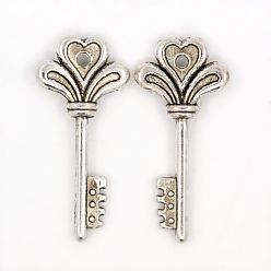 Античное Серебро Сплавочные подвески тибетского стиля, без кадмия, без никеля и без свинца, Ключ от всех дверей подвески, античное серебро, 30x14x4 мм, отверстие : 1.5 мм