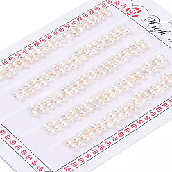 Кремово-белый Сорт 3бусины из натурального культивированного пресноводного жемчуга, половине просверлил, полукруглые бусины, кремово-белые, 3~4x2~2.5 мм, отверстие : 1 мм