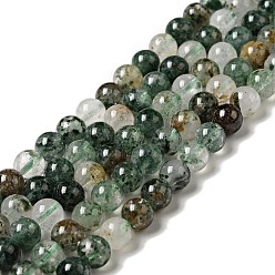 Fuchsite Бусины из натурального фуксита, круглые, 6 мм, отверстие : 0.6 мм, около 64 шт / нитка, 15.55 дюйм (39.5 см)