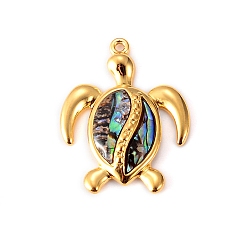 Tortoise Подвески из ракушек пауа из нержавеющей стали, золотые, черепаха, 30x24 мм