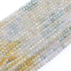 Морганит Естественно Morganite пряди, граненые, круглые, 4 мм, отверстие : 0.5 мм, около 112 шт / нитка, 15.35 дюйм (39 см)