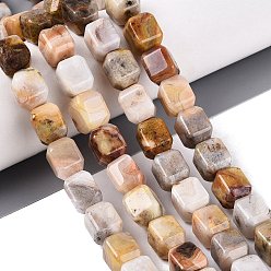 Agate Crazy Lace Chapelets de perles folles agate naturelles  , cuboïde, 10~12x9~10x9~10mm, Trou: 0.6~0.9mm, Environ 32~36 pcs/chapelet, 14.37~16.34 (36.5~41.5 cm)