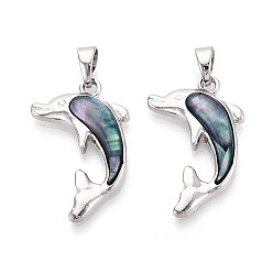 Кадет Синий Подвески из сплава и окрашенных натуральных раковин морского ушка, прелести дельфинов, платина, кадетский синий, 30~30.5x19~19.5x4 мм, отверстие : 6.5x4 мм