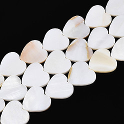 Морская Ракушка Естественных пресноводных оболочки бисер нитей, сердце, цвет морской раковины, 18x18x2.5~3 мм, отверстие : 0.8 мм, около 22 шт / нитка, 14.49'' (36.8 см)