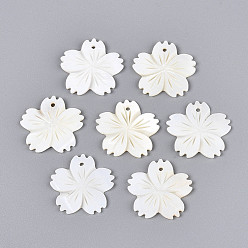 Морская Ракушка Резные подвески из натуральных пресноводных ракушек, , цвет морской раковины, 23~23.5x23~24.5x1.5~2.5 мм, отверстие : 1.5 мм