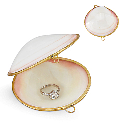 Beige Shell Sculpture Display Decorations, for Home Office Desk, Beige, 82~82.5x76x34~36mm