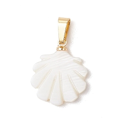 Shell Shape Природные подвески оболочки пресноводных, геометрические подвески с 304 защелкивающимися креплениями из нержавеющей стали, золотые, белые, формы раковины, 18x15x2.5 мм, отверстие : 5.5x3 мм