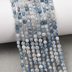 Aquamarine Natural Devil Blue Aquamarine Beads Strands, Flat Round, Faceted, 3.5~4x2.5mm, about 100~105pcs/strand, 15.55''~15.75''(39.5~40cm)