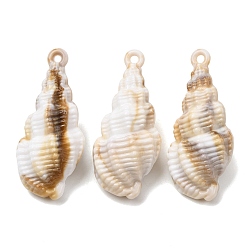 Белый Навахо Акриловые подвески из имитационной оболочки, подвески в форме раковины, навахо белый, 45x20x17.5 мм, отверстие : 2.5 мм, Около 100 шт / 500 г