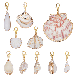 Золотой 10 шт. украшения из ракушек, Сплав с застежками когтя омара, формы раковины, золотые, 55~60 мм