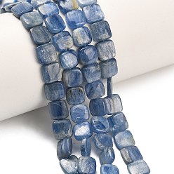 Кианит Натуральный кианитовые бисер пряди, квадратный, 8~8.5x8.5x2.5~3.5 мм, отверстие : 0.7 мм, около 50~52 шт / нитка, 15.91~16.02'' (40.4~40.7 см)