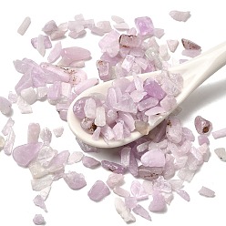 Кунсайт Бусины из натурального кунцита, нет отверстий / незавершенного, чип, 3~17.5x3~8.5x1~4.5 мм