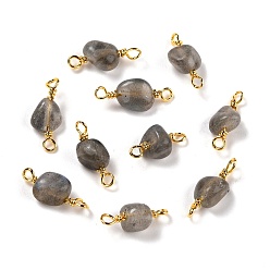 Лабрадорита Соединители из натурального лабрадорита, с золотой медной проволокой, без кадмия и без свинца, чип, 13~19x3.5~8 мм, отверстие : 1.5 мм