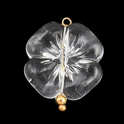 Прозрачный Прозрачные акриловые и нержавеющие стальные подвески, , золотые, прозрачные, 24.5x19.5x7 мм, отверстие : 1.5 мм