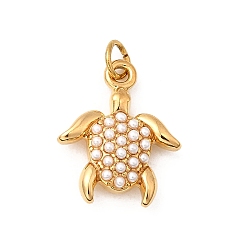 Tortoise 304 подвески из искусственного жемчуга из нержавеющей стали ABS, океан коллекция подвески, ионное покрытие (ip), реальный 18 k позолоченный, с целью перехода в кольце, черепаха, 14.5x11.5x4 мм, отверстие : 2.4 мм