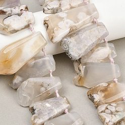 Вишневый агат Натуральные вишневые агатовые бусины, трапециевидные, Топ пробуренной, 19~46x19~21x6.5~8.5 мм, отверстие : 1.6 мм, около 21 шт / нитка, 13.39~15.35'' (39 см)