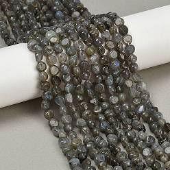 Лабрадорита Природные лабрадорита бисер нитей, самородки, упавший камень, 5~7x4~7x4~7 мм, отверстие : 0.7 мм, около 64~65 шт / нитка, 15.75~15.94'' (40~40.5 см)
