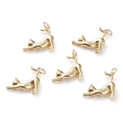 Золотой Латунные подвески, кошка, золотые, 21.5x22x5.5 мм, Перейти кольцо: 6x1 мм, отверстие : 4 мм