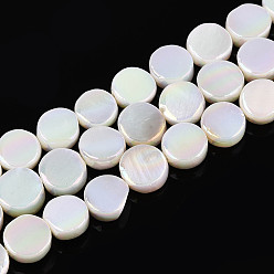 Морская Ракушка Гальванизированные натуральные пресноводные ракушки, AB цвет, плоско-круглые, цвет морской раковины, 6~6.5x2.5~3 мм, отверстие : 0.6 мм, около 62~65 шт / нитка, 14.96~15.55'' (38~39.5 см)