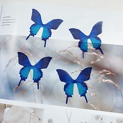 Синий Аксессуары из тюля из волокна, поделка бабочка из органзы, синие, 51x48x0.5 мм