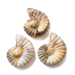 Белый Навахо Непрозрачные акриловые бусины, имитирующие драгоценные камни, формы раковины, навахо белый, 41x32x16 мм, отверстие : 3.5 мм, Около 62 шт / 500 г