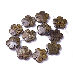 Bronzite Natural Bronzite Beads Strands, Flower, 29~31x5~7mm, Hole: 1mm, about 11pcs/strand, 15.15 inch
